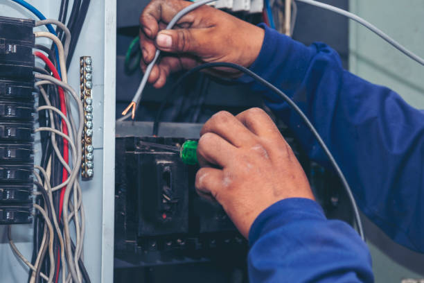 Best Local Electrician Companies  in Terrace Heights, WA